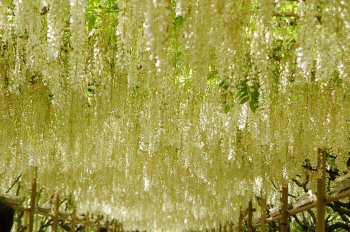 080515_4.jpg
